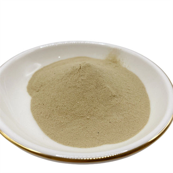Amino Acid 50 The Essential Supplement for Optimal Health and Wellness